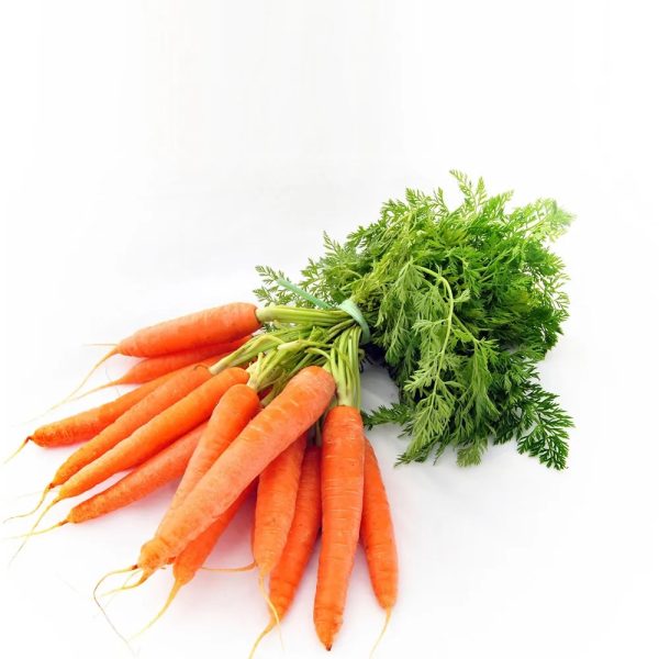 Carrot Fresh