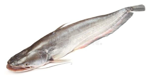Fish – Boal (10 Kg)