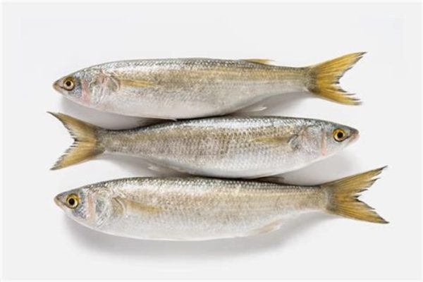 Fish – Emala (5 Kg)