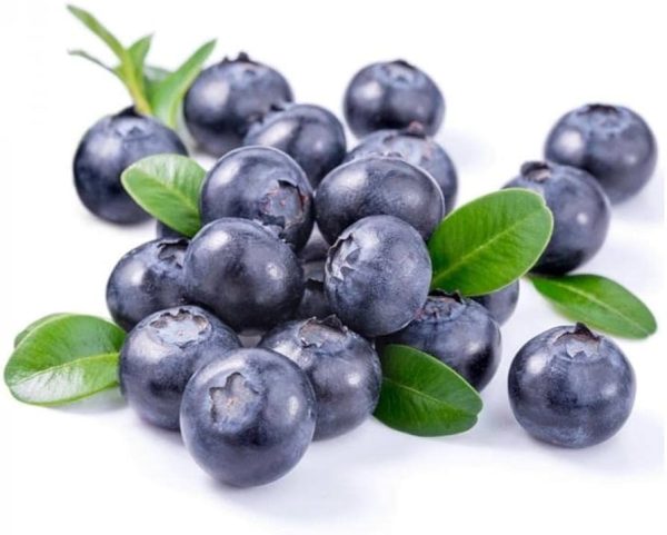 Fresh Blue Berry_Egypt