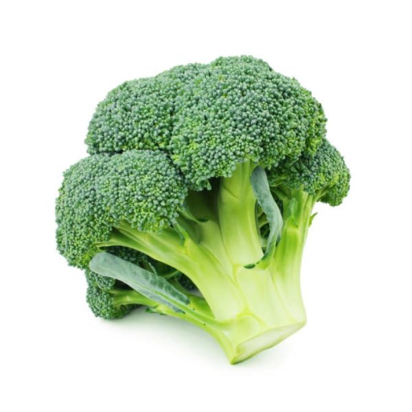 Fresh Brocoli_Egypt