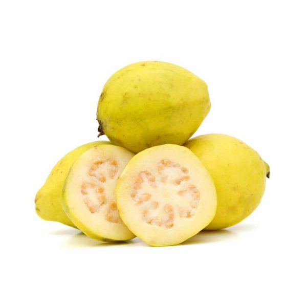 Fresh Guava_Egypt
