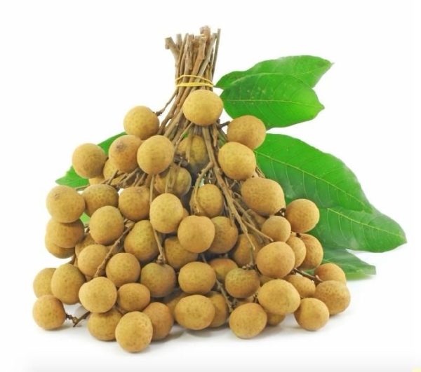 Fresh Longan_Thailand