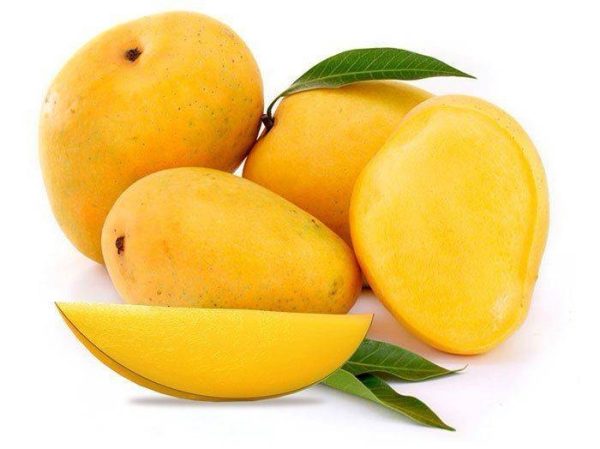 Fresh Mango_Vietnam