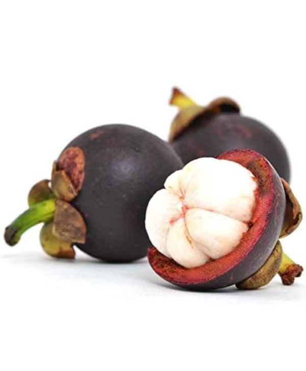 Fresh Mangosteen_Thailand