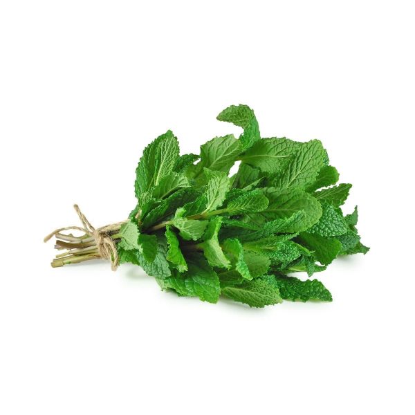 Fresh Mint_Egypt