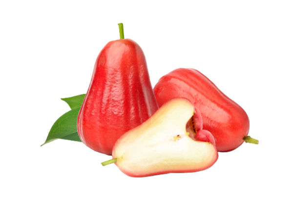 Fresh Rose Apple_Thailand