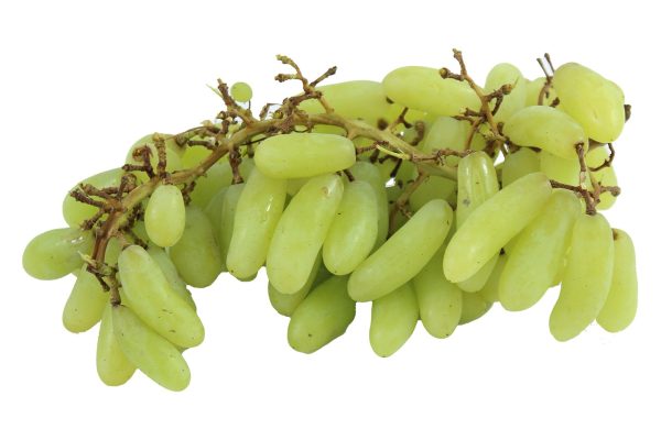 Grapes Green Long (Lose) – India
