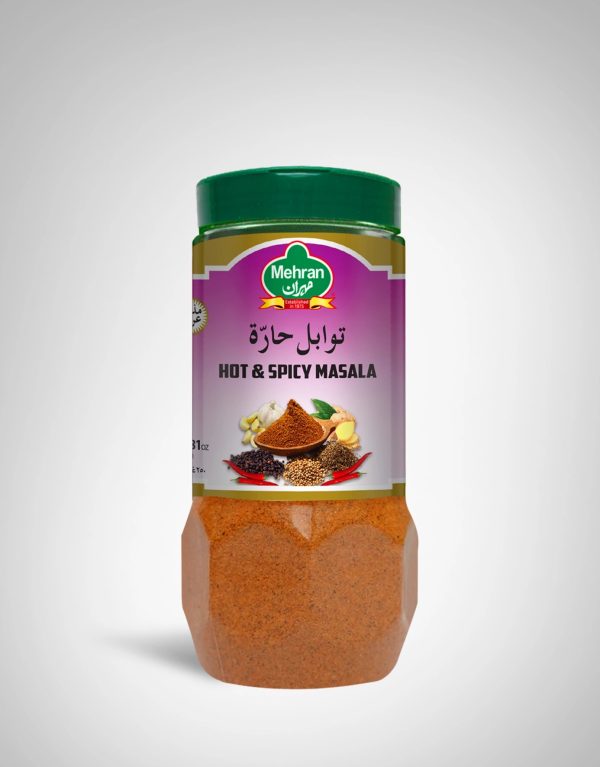 Mehran_Hot And Spicy Masala 100 G