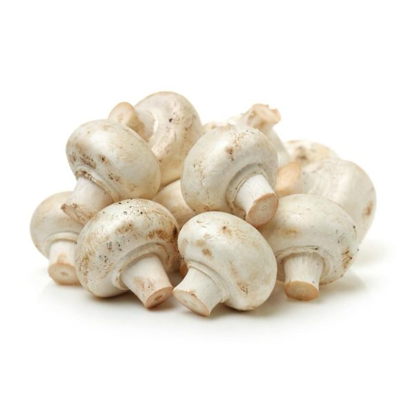 Mushroom Fresh