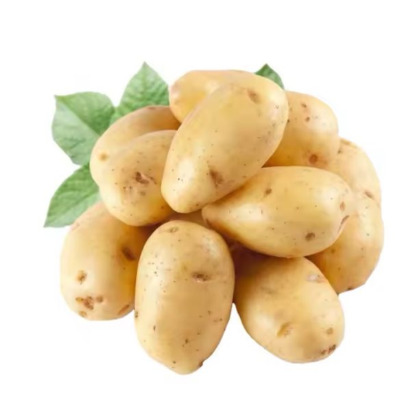 Potato Fresh (China)