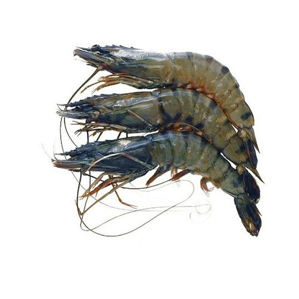 Prawns (Galda) Vietnam (10Kg)