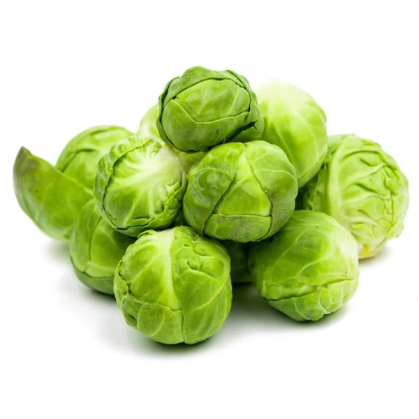 Small Cabbage Fresh (20kg Bag)