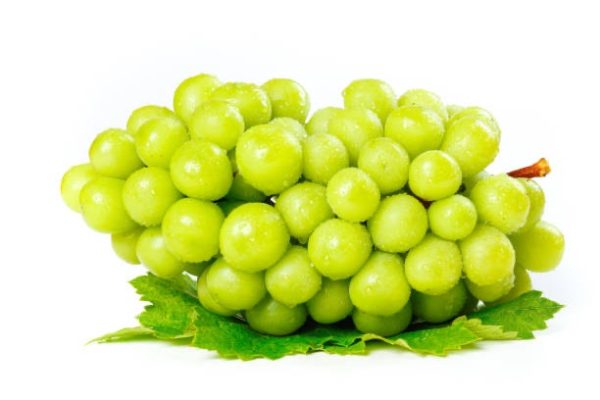 Sunny Rose Grape_China