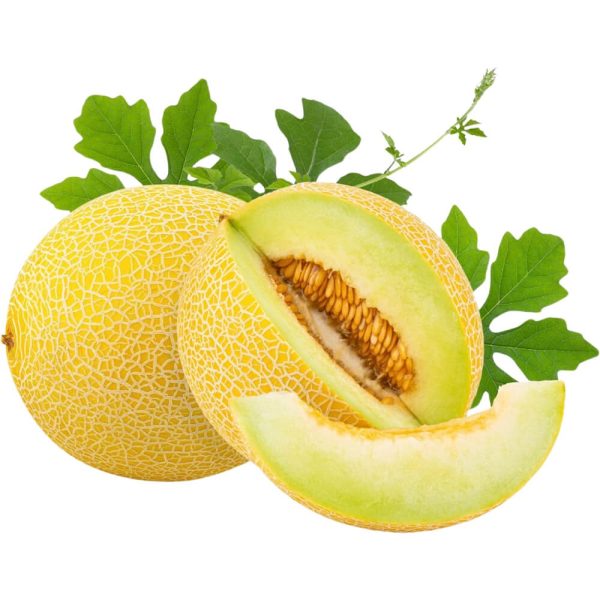 Sweet Melon