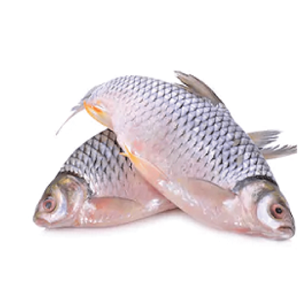 Fish – S.Puti (Cleaned) Vietnam (10Kg)